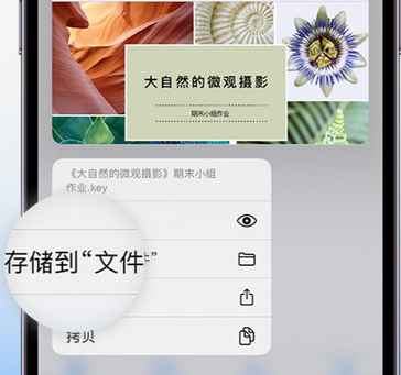 唐县apple维修中心分享iPhone文件应用中存储和找到下载文件