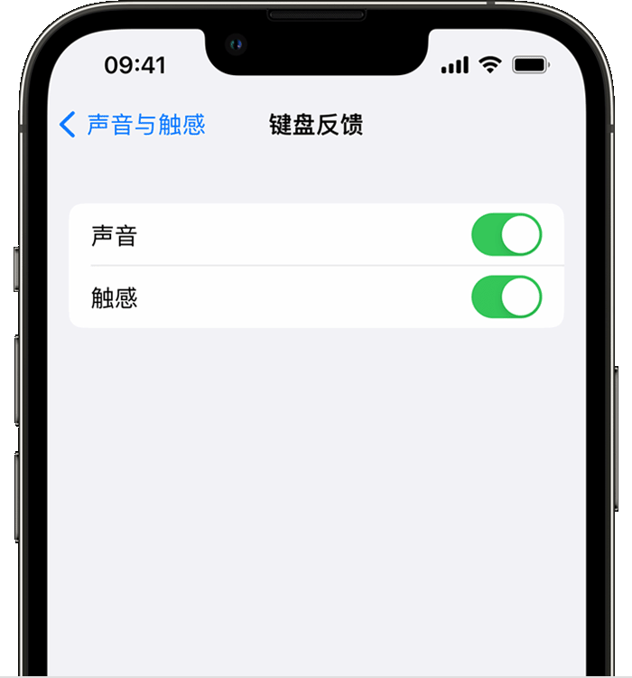 唐县苹果14维修店分享如何在 iPhone 14 机型中使用触感键盘 