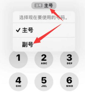 唐县苹果14维修店分享iPhone 14 Pro Max使用副卡打电话的方法 