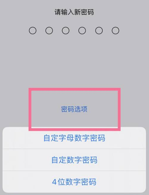 唐县苹果14维修分享iPhone 14plus设置密码的方法 