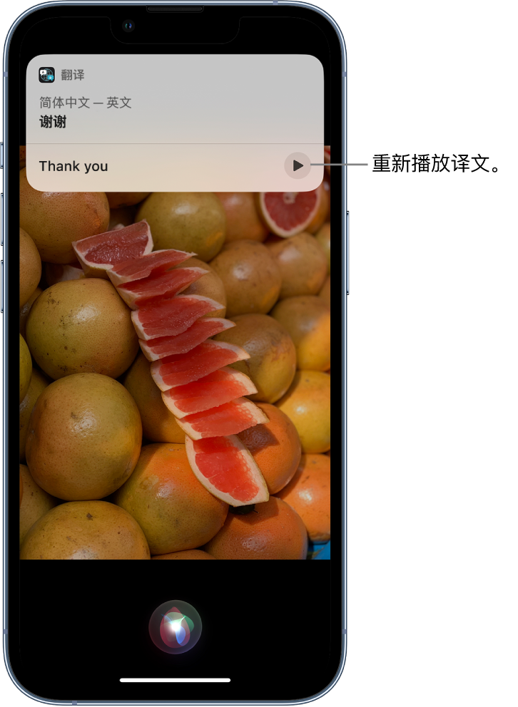 唐县苹果14维修分享 iPhone 14 机型中使用 Siri：了解 Siri 能帮你做什么 