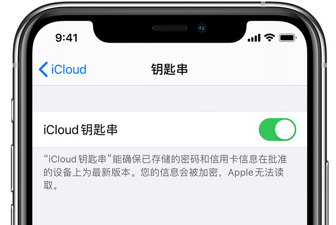 唐县苹果手机维修分享在 iPhone 上开启 iCloud 钥匙串之后会储存哪些信息 