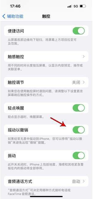 唐县苹果手机维修分享iPhone手机如何设置摇一摇删除文字 