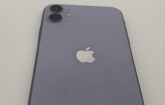 唐县苹果11系统维修分享iPhone11手机系统崩溃无法开机如何解决 